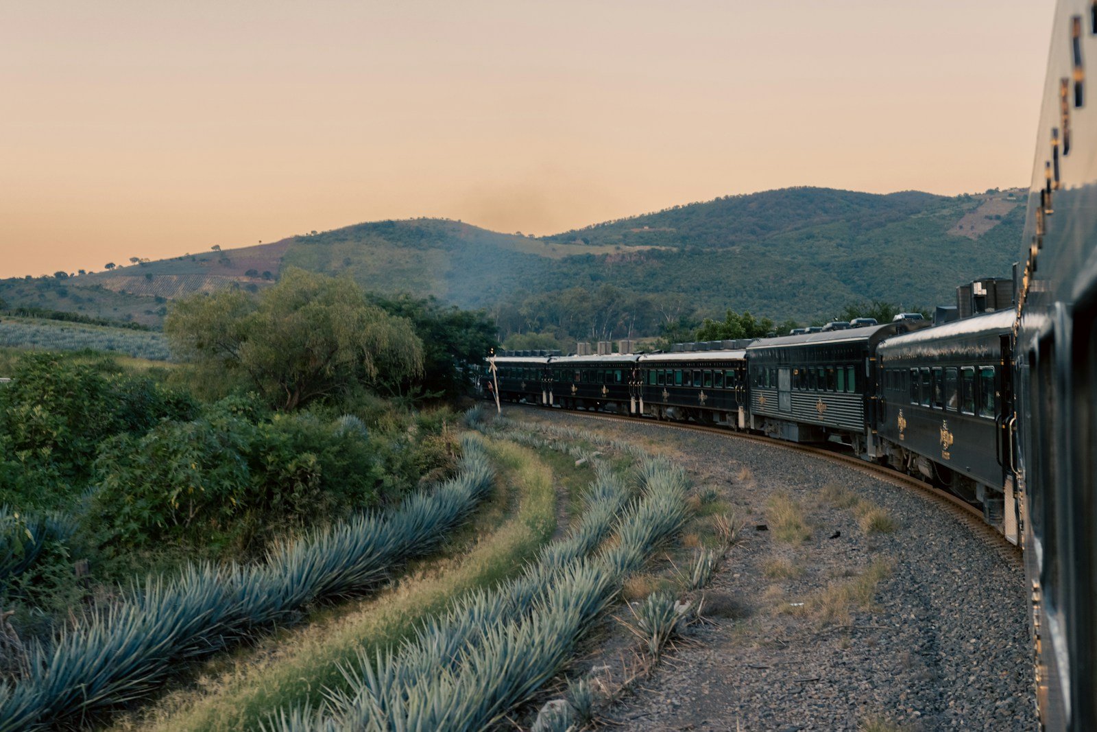 $750 mil millones sobre rieles: el capital detrás de la nueva red ferroviaria de México